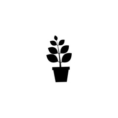 flower in a pot icon