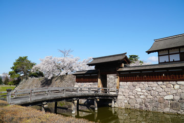 松代城の桜