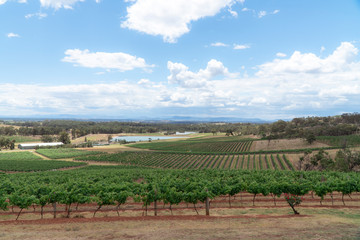 Fototapeta na wymiar Hunter Valley Wine Region Australia. DRONE aerial view. Vineyards growing grapes for red wine. Green rolling hills. Dramatic landscape. Viticulture, scenic, drinking, growing concepts.
