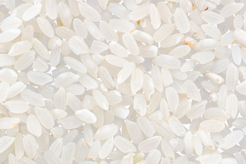 round grain peeled seeds on a white background top view