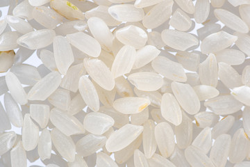 round grain peeled seeds on a white background top view