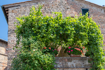 Fototapeta na wymiar romantic balcony with flowers in the streets of Tuscany
