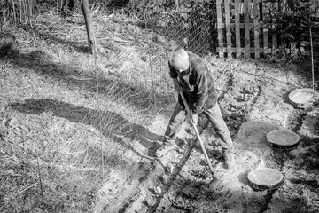 Senior farmer working that with a hoe in his vegetable garden. Black and white picture