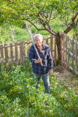 Portrait of senior farmer  with a hoe in his vegetable garden