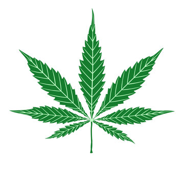 Cannabis green leaf isolated on white. Vector cartoon hand drawing logo marijuana grass or ganja plant. Shape or silhouette herbal nature symbol. 