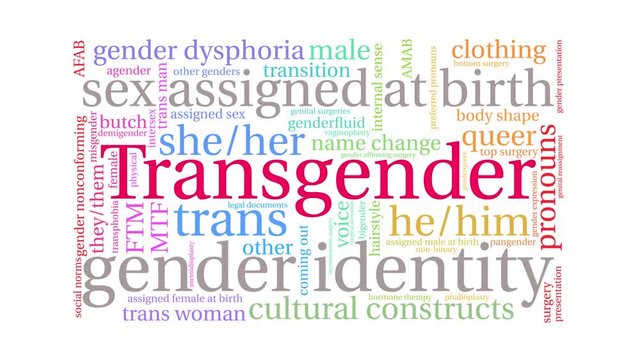 Transgender animated word cloud on a white background. 