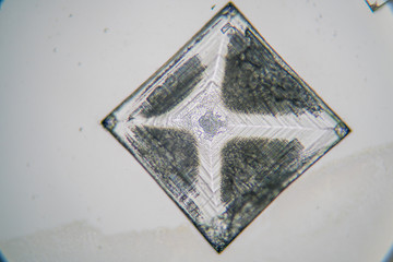 Image of crystals with magnification in a microscope
