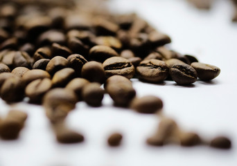coffee beans on a white background close up