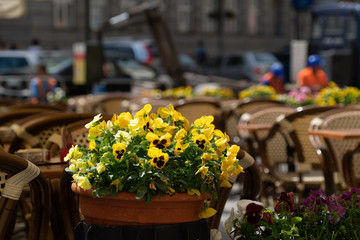 Flowers tables and chairs of an outdoor cafe in europe