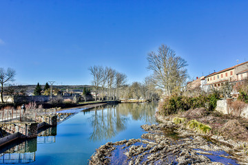Fototapeta premium grove by the river on the outskirts of town