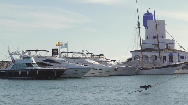 MANILVA, MALAGA / Spain - December 14 2019: Beautiful panoramic view of "Puerto de la Duquesa" Yachts, boats docked in the Harbour. Sea ​​cormorant bird with open wings, windy day. No camera movement