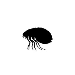 beetle icon vector