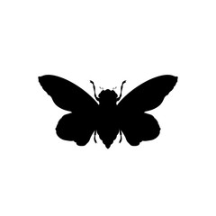 butterfly icon vector
