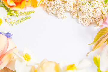 frame of flowers with white background 