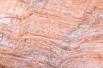 Surface of coconut background ,coconut fiber