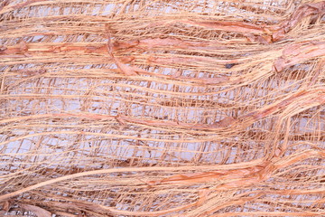 Surface of coconut background ,coconut fiber