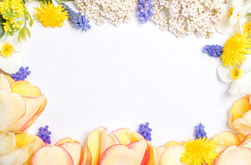 frame of flowers with white background