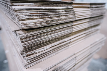 garden green plants in boxes ready for summer season and sale