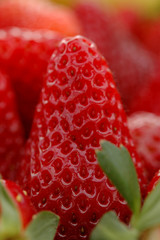 Erdbeere Nahaufnahme