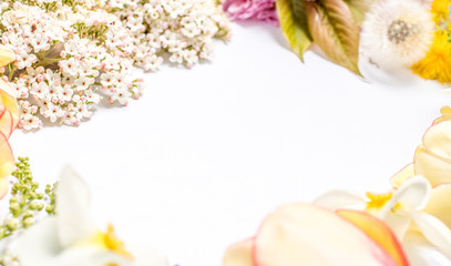 frame made of flowers for backgrounds 