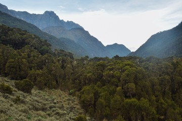 Fototapeta premium Scenic Mountain Landscapes in rural Uganda, Rwenzori Mountains National Park