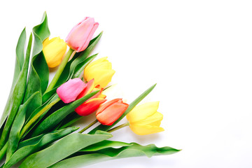 Beautiful tulips in bouquet lying on white background, top view