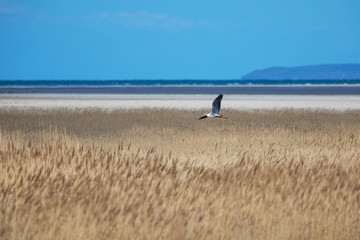 Ausblick vom Vogelbeobachtungshaus auf der Sundischen Wiese 