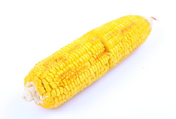 Close up Boiled corn cob on white background