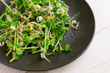 Close up of vegan healthy salad made of peas microgreen sprouts and sprouted beans on wooden background