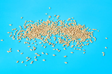 Grain of pearl barley scattered on blue desk on kitchen