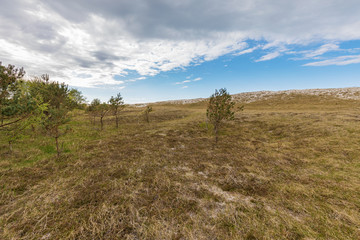 Fototapeta na wymiar Landschaftsidyll Hohe Düne von Pramort