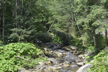 landscape with mountains, forest and a river