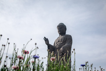 buddha statue in the park