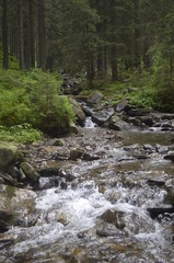 landscape with mountains, forest and a river