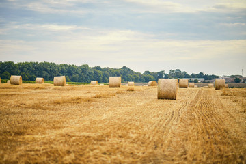 Fototapeta na wymiar Summer farm scenery with haystack on the background of beautiful sky in field as agriculture concept.
