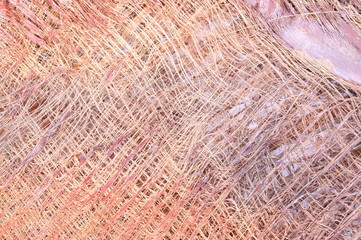 Surface of coconut background, coconut fiber