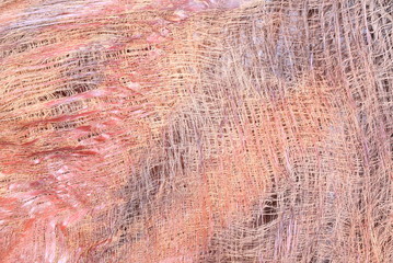 Surface of coconut background, coconut fiber