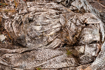 Abstract texture background of an old curtain