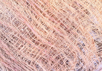 Surface of coconut background, coconut fiber
