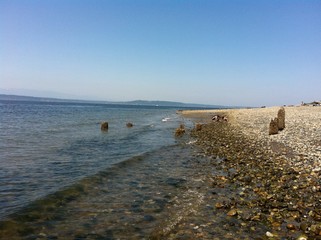 Fototapeta na wymiar Drift wood stones beach coastline