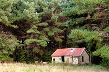Exterior of an abandoned derelict house
