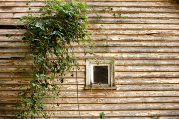 Exterior of an abandoned derelict house