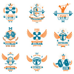 Vector weightlifting theme logotypes and inspirational leaflets collection made using dumbbells, barbells, disc weights sport equipment and strong man perfect body.