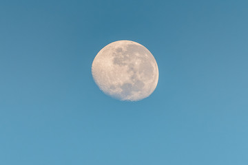Early Morning Moon