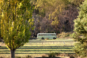 View of an old bus sitting in a paddock