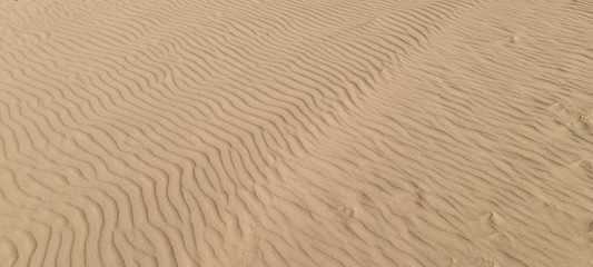 Fototapeta na wymiar Clean sea sand in the spring in the Baltic
