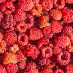 seamless pattern of raspberries