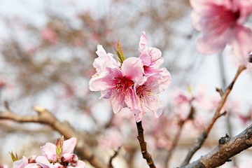 한국 경기도 부천시 호수공원 입니다