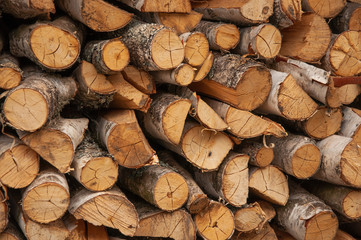 Firewood harvested for the winter is neatly stacked in a woodpile. Firewood for a country house.