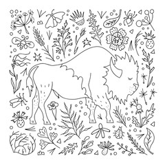 Obraz premium Hand-drawn bison in outline style on a background of prairie foliage and flowers. Coloring book with decorative plant elements and buffalo. Vector linear illustration in doodle style.